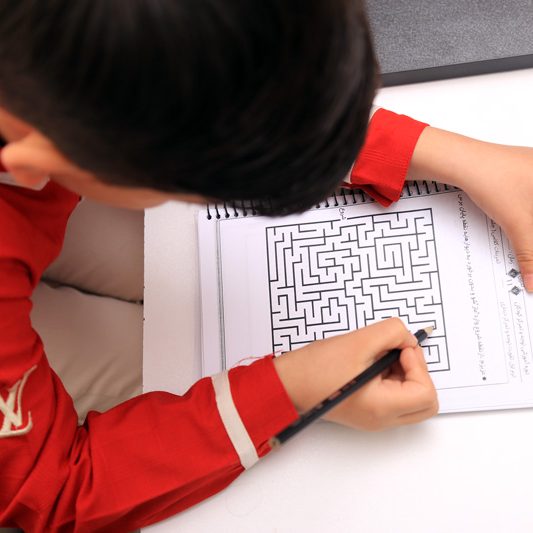 موسسه نوبنیاد ، دوره توجه و تمرکز